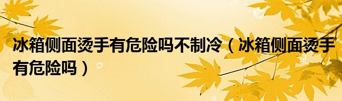 冰箱侧面烫手有危险吗不制冷（冰箱侧面烫手有危险吗）