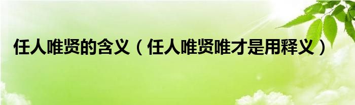 任人唯贤的含义（任人唯贤唯才是用释义）