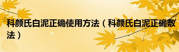 科颜氏白泥正确使用方法（科颜氏白泥正确敷法）