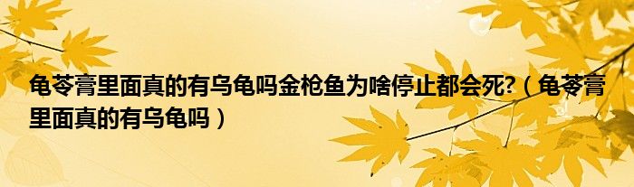 龟苓膏里面真的有乌龟吗金枪鱼为啥停止都会死?（龟苓膏里面真的有乌龟吗）