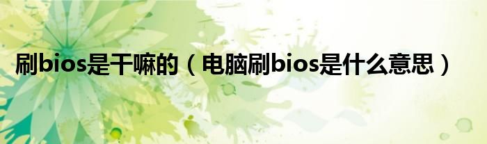 刷bios是干嘛的（电脑刷bios是什么意思）