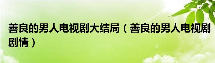 善良的男人电视剧大结局（善良的男人电视剧剧情）