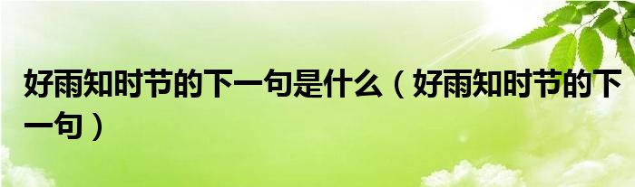 好雨知时节的下一句是什么（好雨知时节的下一句）