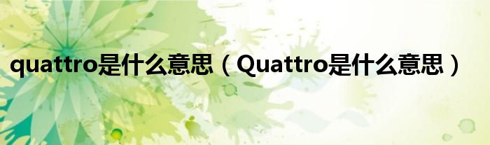 quattro是什么意思（Quattro是什么意思）