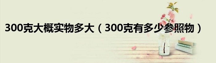 300克大概实物多大（300克有多少参照物）