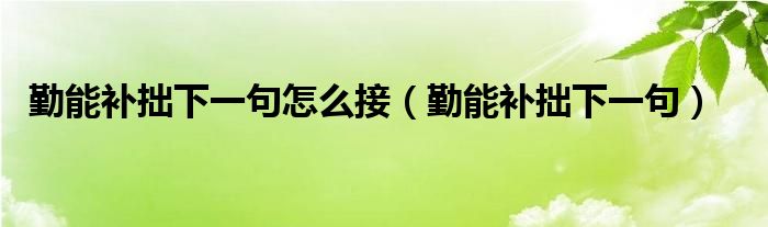 勤能补拙下一句怎么接（勤能补拙下一句）