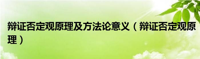 辩证否定观原理及方法论意义（辩证否定观原理）