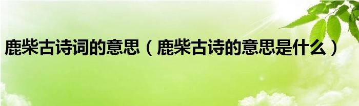 鹿柴古诗词的意思（鹿柴古诗的意思是什么）