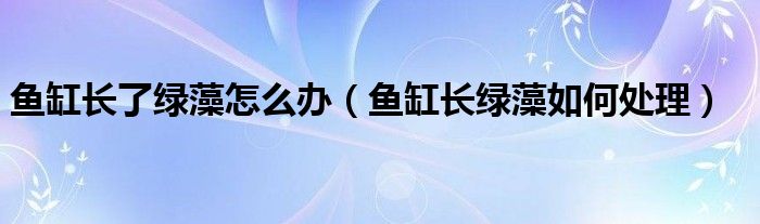 鱼缸长了绿藻怎么办（鱼缸长绿藻如何处理）