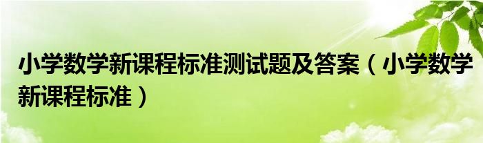 小学数学新课程标准测试题及答案（小学数学新课程标准）