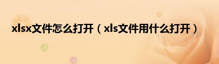 xlsx文件怎么打开（xls文件用什么打开）