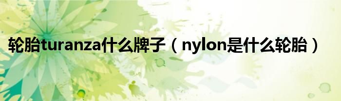 轮胎turanza什么牌子（nylon是什么轮胎）