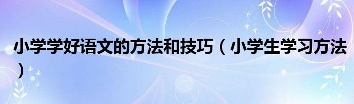 小学学好语文的方法和技巧（小学生学习方法）