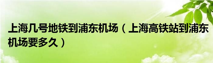 上海几号地铁到浦东机场（上海高铁站到浦东机场要多久）