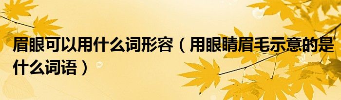 眉眼可以用什么词形容（用眼睛眉毛示意的是什么词语）