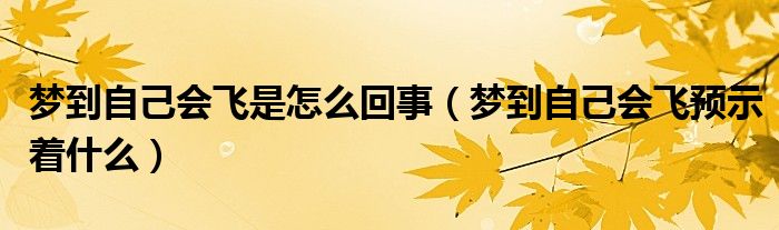 梦到自己会飞是怎么回事（梦到自己会飞预示着什么）