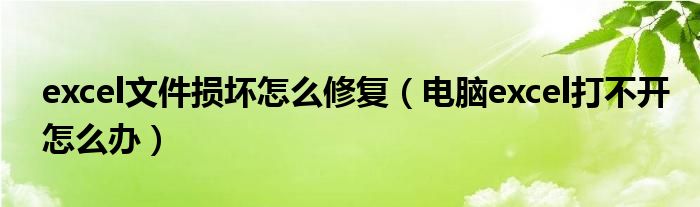 excel文件损坏怎么修复（电脑excel打不开怎么办）