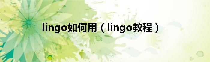 lingo如何用（lingo教程）