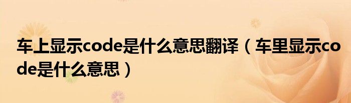 车上显示code是什么意思翻译（车里显示code是什么意思）