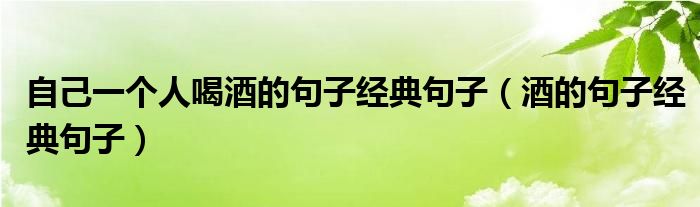 自己一个人喝酒的句子经典句子（酒的句子经典句子）