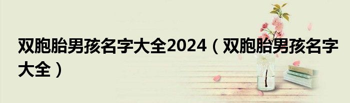 双胞胎男孩名字大全2024（双胞胎男孩名字大全）