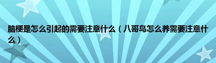 脑梗是怎么引起的需要注意什么（八哥鸟怎么养需要注意什么）