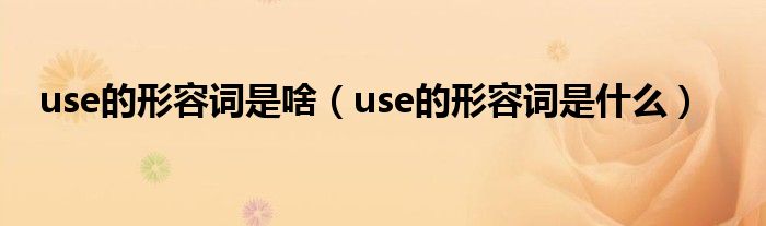 use的形容词是啥（use的形容词是什么）