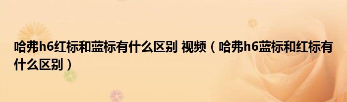 哈弗h6红标和蓝标有什么区别 视频（哈弗h6蓝标和红标有什么区别）