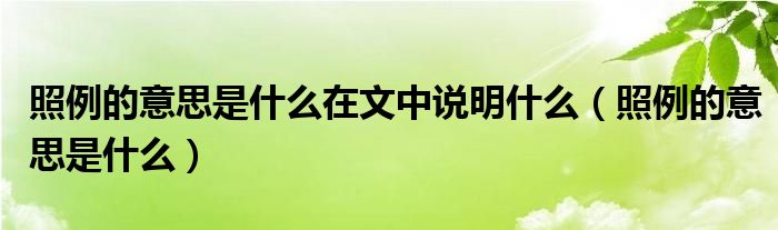 照例的意思是什么在文中说明什么（照例的意思是什么）