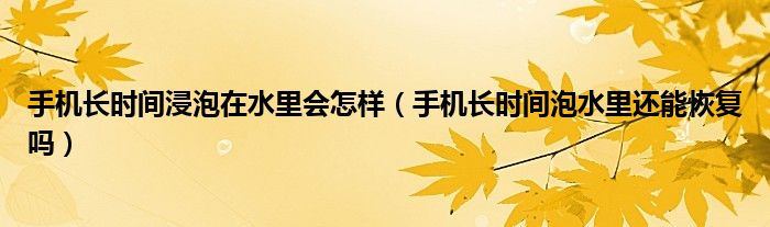 手机长时间浸泡在水里会怎样（手机长时间泡水里还能恢复吗）