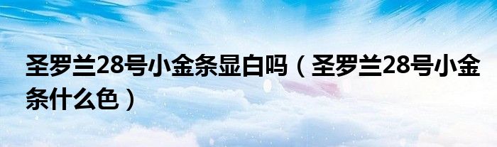 圣罗兰28号小金条显白吗（圣罗兰28号小金条什么色）