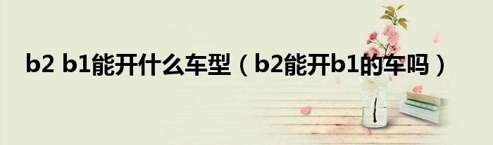 b2 b1能开什么车型（b2能开b1的车吗）