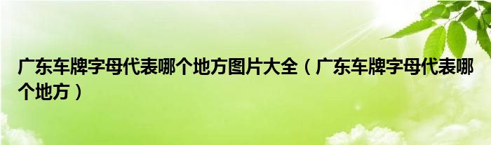 广东车牌字母代表哪个地方图片大全（广东车牌字母代表哪个地方）