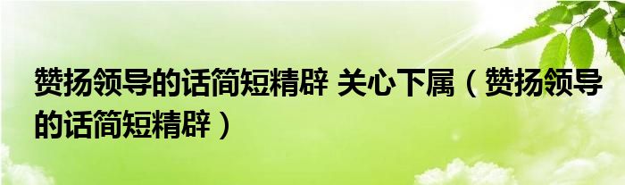 赞扬领导的话简短精辟 关心下属（赞扬领导的话简短精辟）