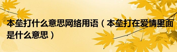 本垒打什么意思网络用语（本垒打在爱情里面是什么意思）