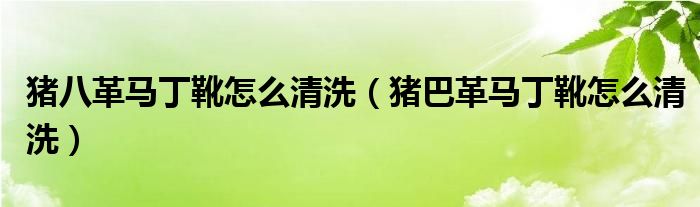 猪八革马丁靴怎么清洗（猪巴革马丁靴怎么清洗）