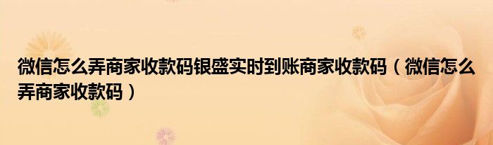 微信怎么弄商家收款码银盛实时到账商家收款码（微信怎么弄商家收款码）