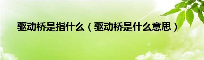 驱动桥是指什么（驱动桥是什么意思）