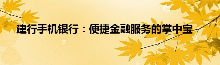 建行手机银行：便捷金融服务的掌中宝