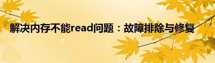 解决内存不能read问题：故障排除与修复