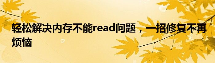 轻松解决内存不能read问题，一招修复不再烦恼