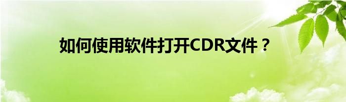 如何使用软件打开CDR文件？