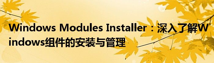 Windows Modules Installer：深入了解Windows组件的安装与管理