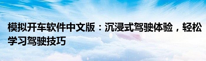 模拟开车软件中文版：沉浸式驾驶体验，轻松学习驾驶技巧