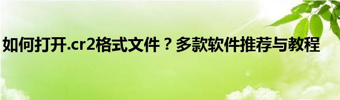 如何打开.cr2格式文件？多款软件推荐与教程