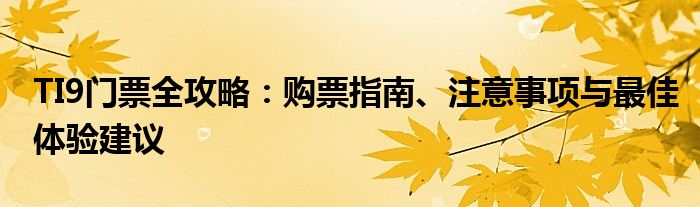 TI9门票全攻略：购票指南、注意事项与最佳体验建议