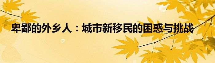 卑鄙的外乡人：城市新移民的困惑与挑战