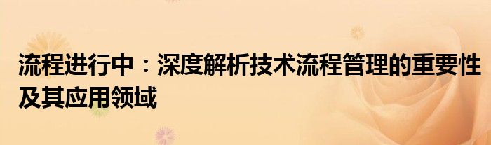 流程进行中：深度解析技术流程管理的重要性及其应用领域