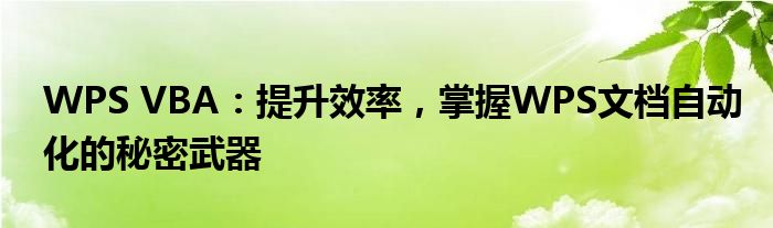 WPS VBA：提升效率，掌握WPS文档自动化的秘密武器