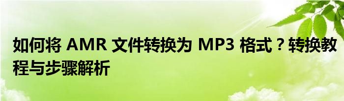 如何将 AMR 文件转换为 MP3 格式？转换教程与步骤解析